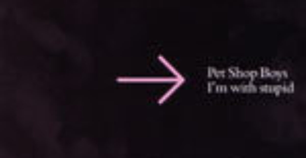 Pet Shop Boys : I´m With Stupid