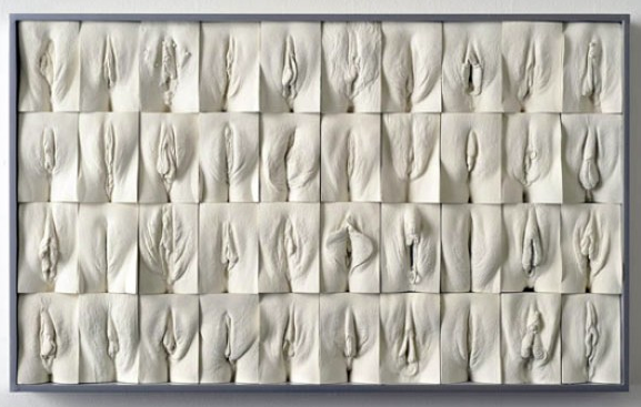 jamie mccartney the great wall of vagina