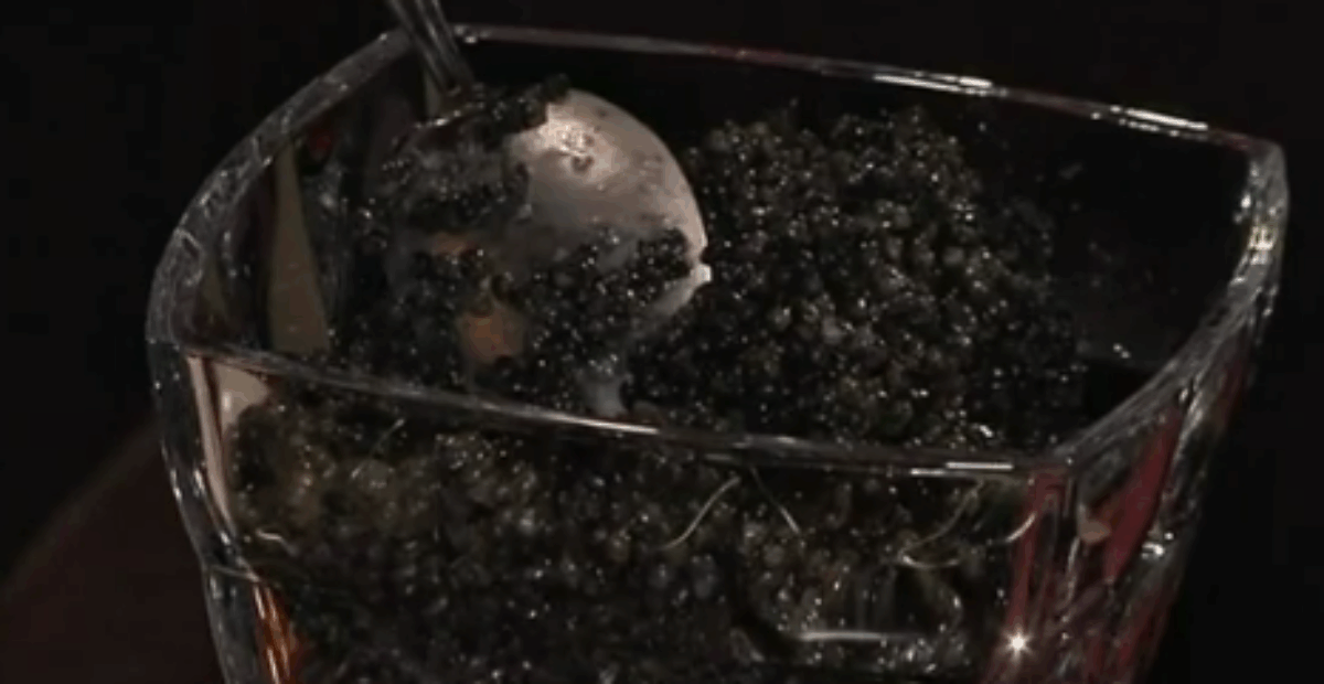 Tältä näyttävät ökyilyn MM-kilpailut – vain sikarikkaille! Katso video