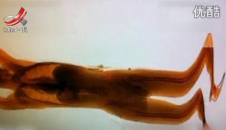 lapivalaisu25052012a