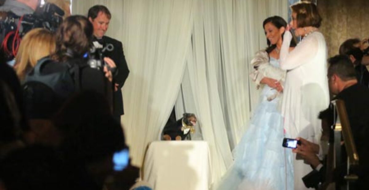 Koirat menivät naimisiin – häät maksoivat 200 000 dollaria