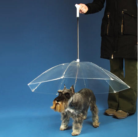 dogbrella11102012