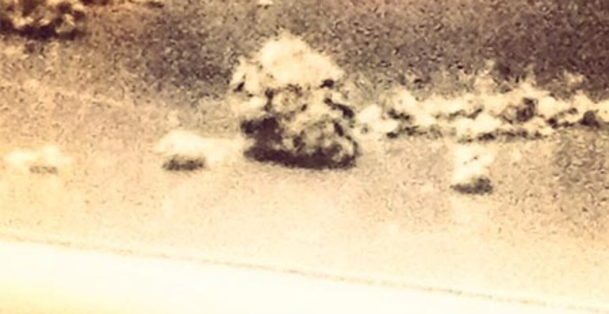 Rihanna julkaisi huumekuvan – fanit raivostuivat