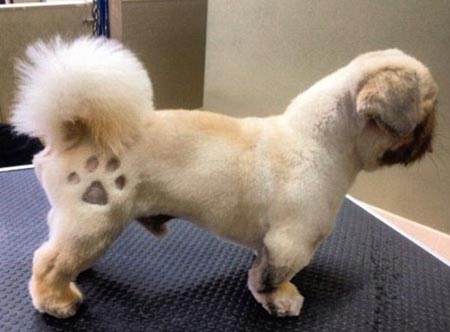 Kuva:
Groomers On The Green Ltd