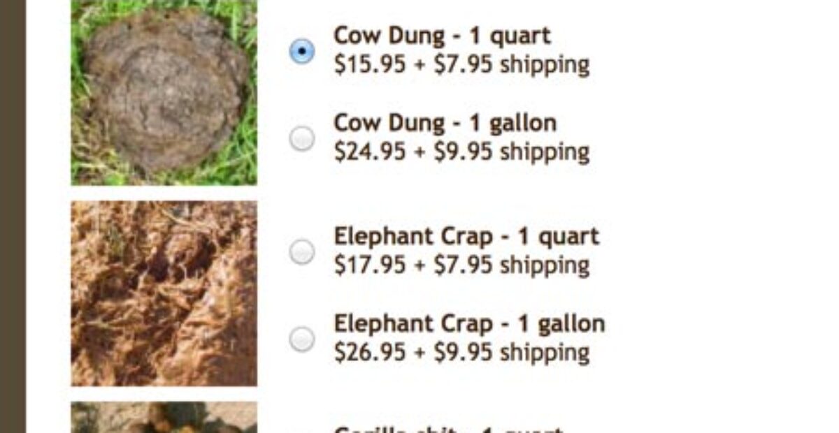 Uusi nettipalvelu tekee kakkakepposet puolestasi: ”Hoidamme likaisen työn”