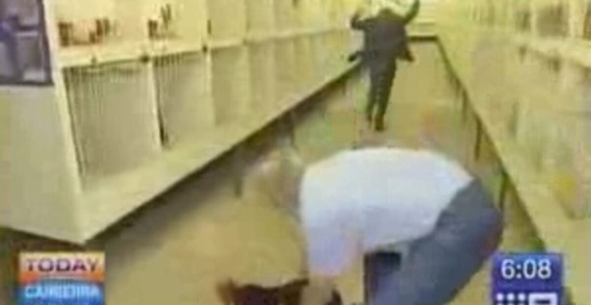 TV-toimittaja saa kukolta kyytiä – tässä odottamaton tulos