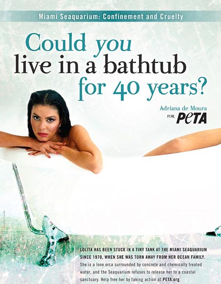 Kuva: PETA