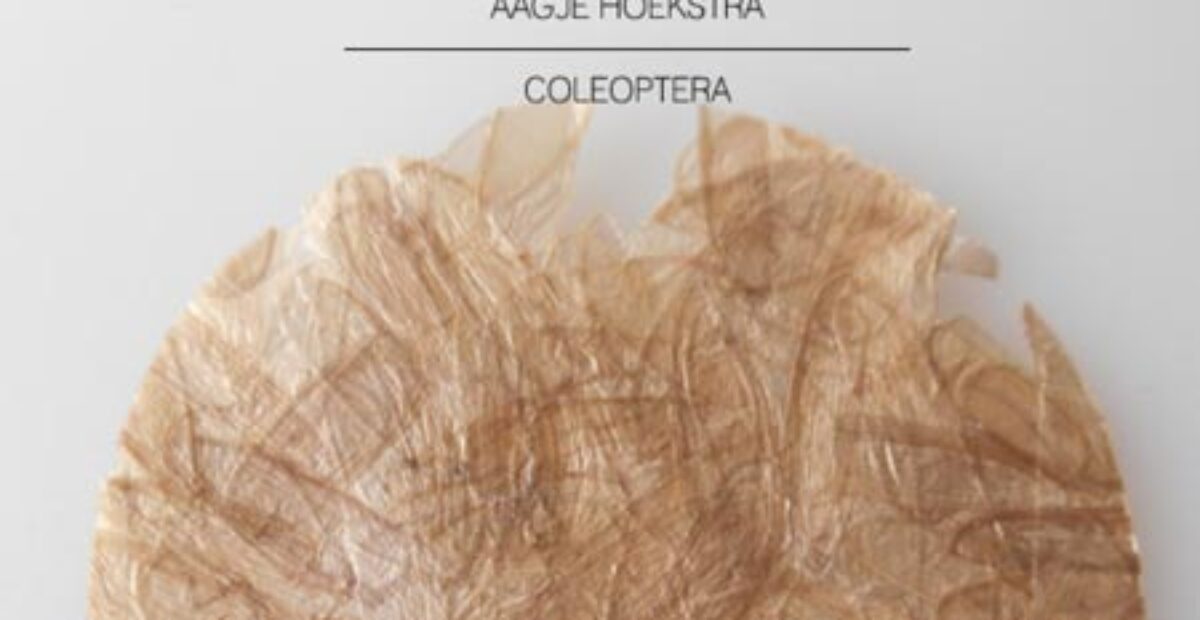 Ympäristöongelma ratkaistu? Koppakuoriaisista voidaan tehdä muovia