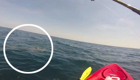 LiveLeak