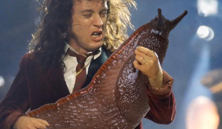 Slug Solos