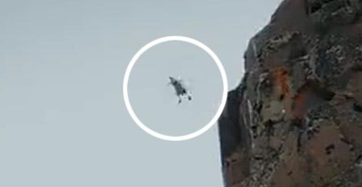 Linnunpoikanen hyppäsi 122 metriseltä kalliolta – ällistyttävä tulos