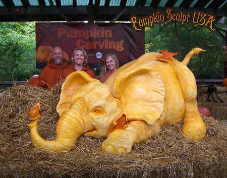 Pumpkin Sculpt USA