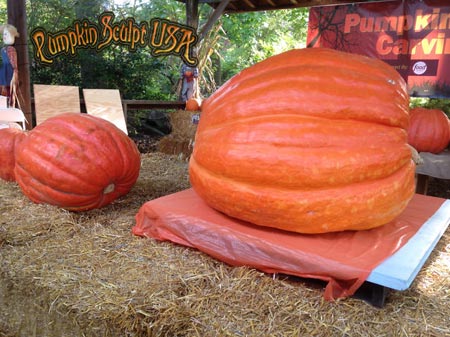 Pumpkin Sculpt USA