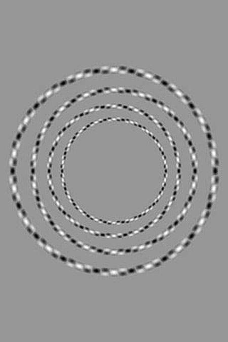 optinenharha23012015