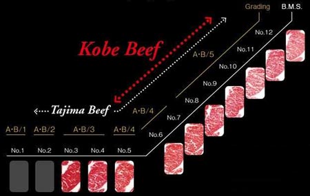 Kobe-lihan BMS-laatuasteikko