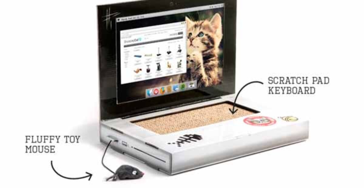 Kissoille kehiteltiin oma kannettava tietokone