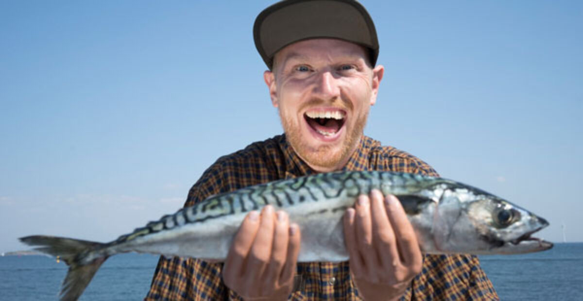 Kalavaleisiin nerokas apuväline – jokaisen kalastajan pakkohankinta?