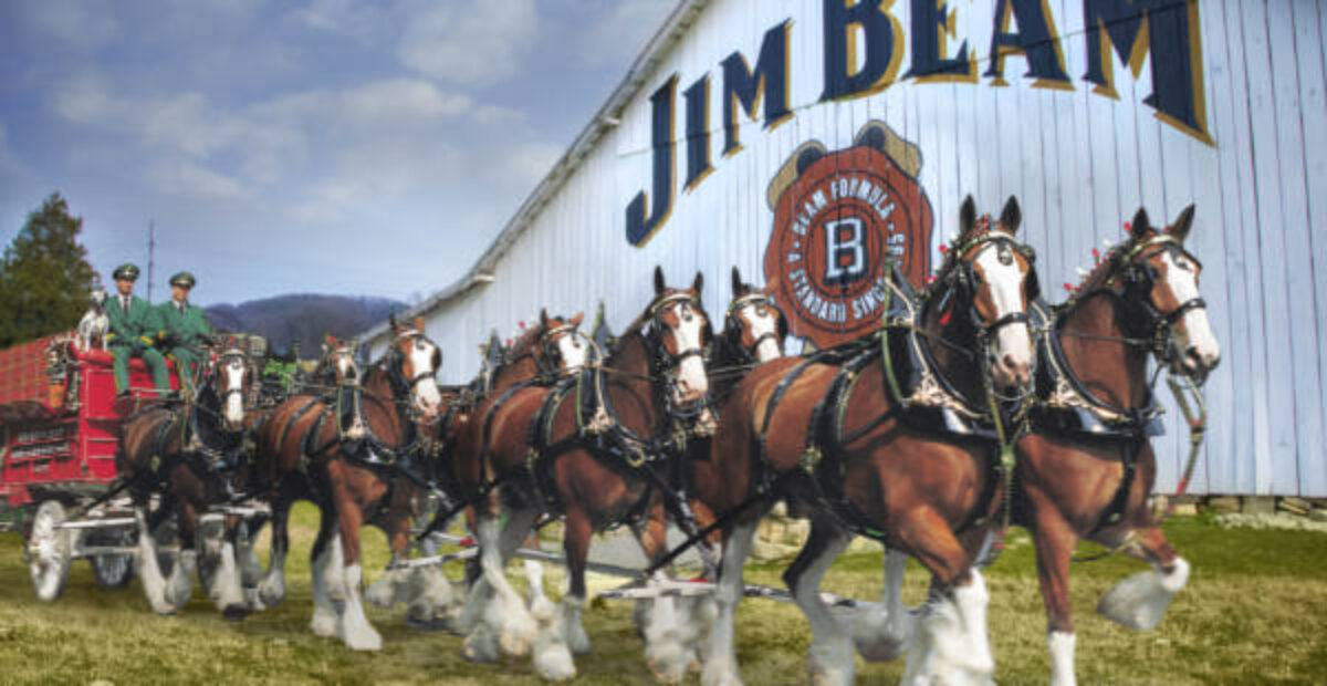 Budweiser
