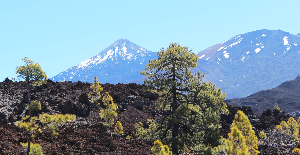 Teiden kansallispuisto, Teneriffa