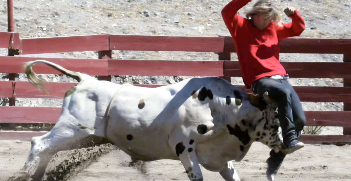 Härkä runnoi Jukka Hildénin vaarallisessa tempauksessa