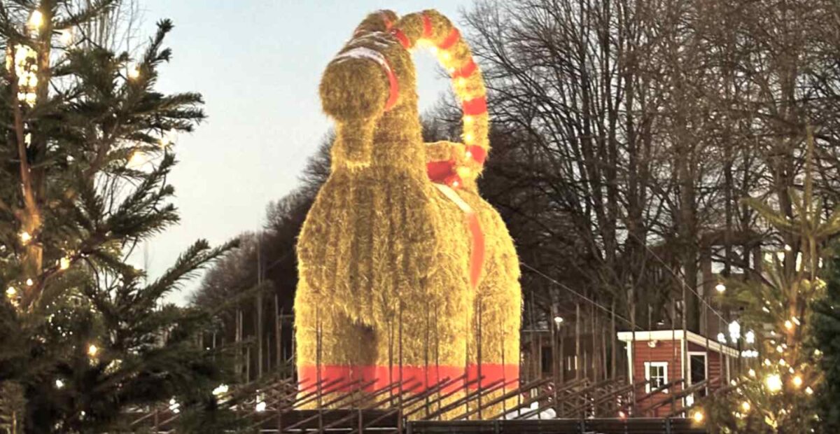 Gävlen olkipukki selvisi ilman tuhopolttoa, mutta myrsky oli sille liikaa – video julkaistiin