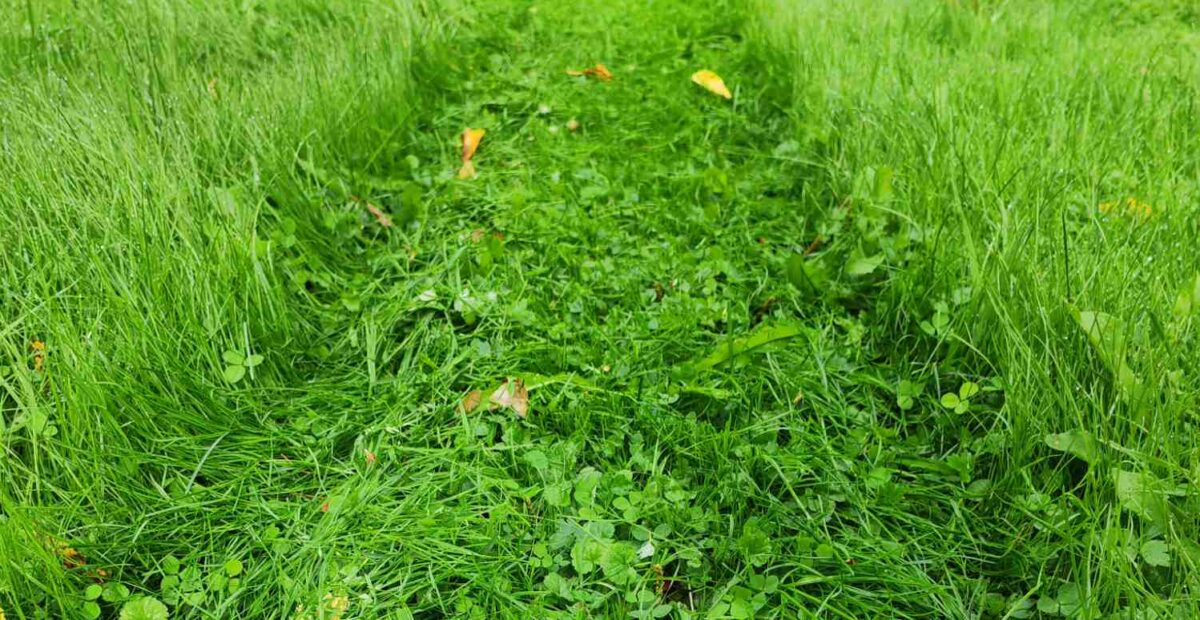 Nämä kotityöt voivat aiheuttaa avioeron – ja rajuimmat riidat