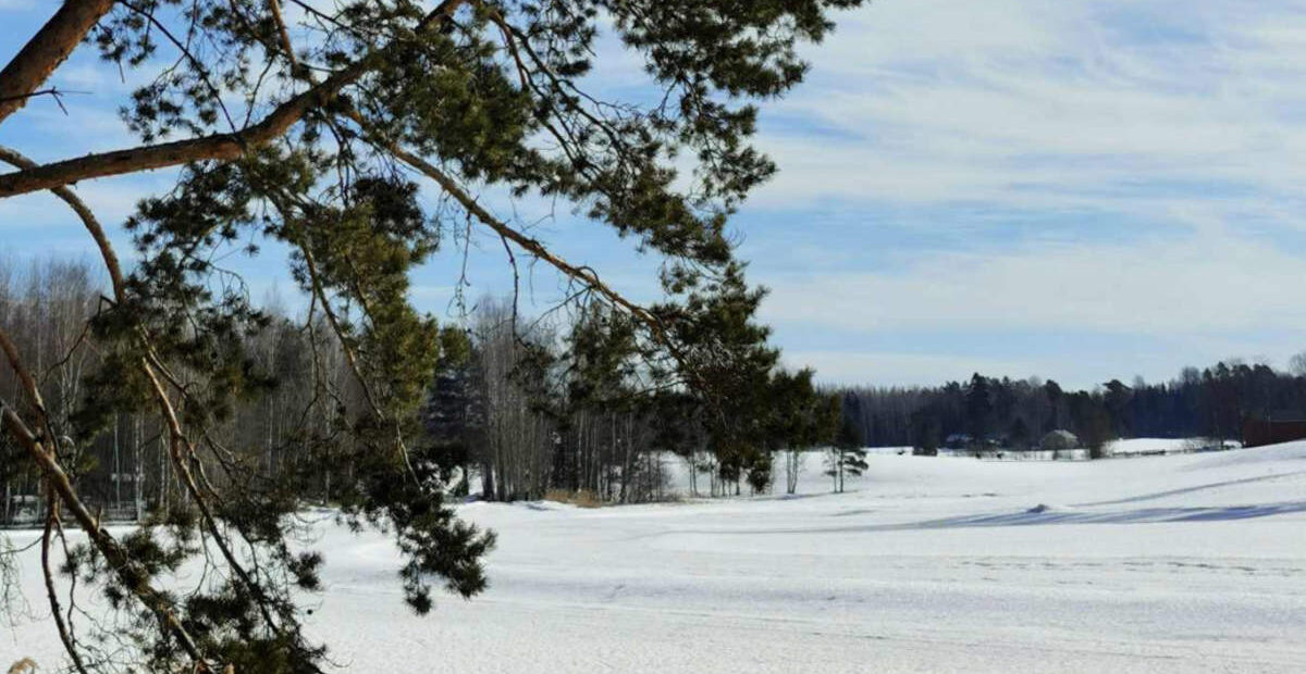 Sunnuntaina on talvipäivänseisaus – sitten päivä pitenee viikko viikolta