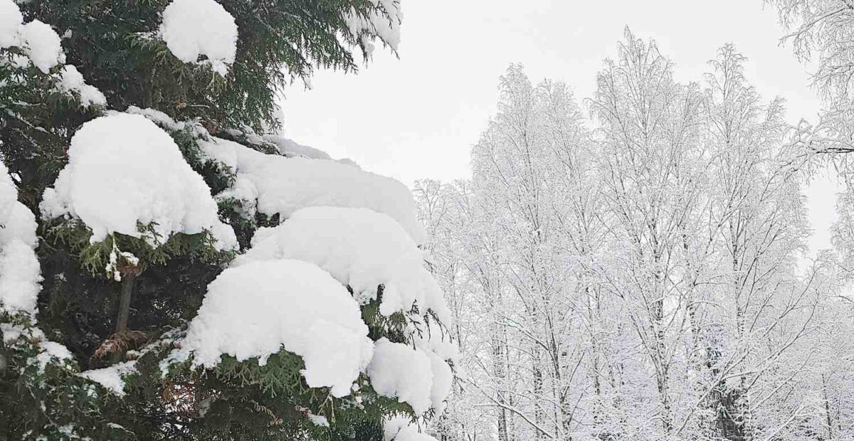 Nyt tuli lopputalven sääennuste – lupaa täyskäännöstä ennen aikojaan