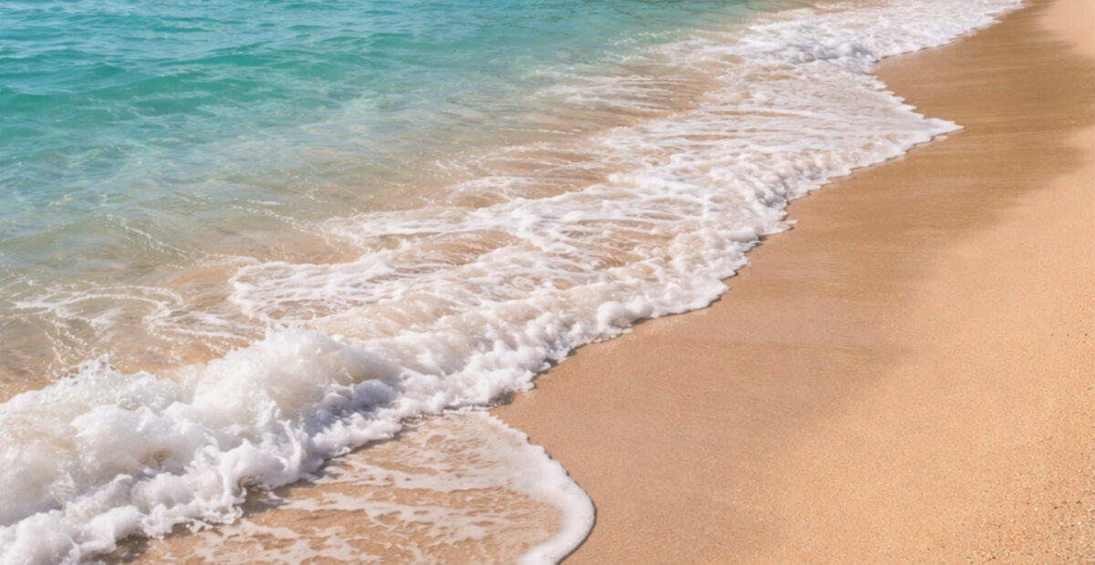 Hengenpelastaja pelasti lemmikkikoiran mereltä – video julkaistiin