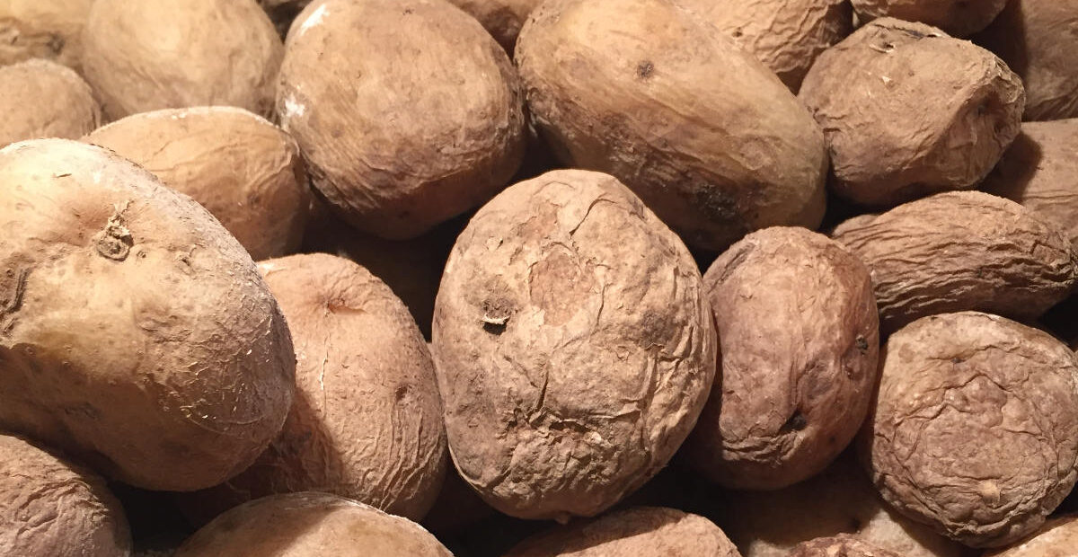 Kanariansaarten paikallinen herkku on monille turisteille tuntematon