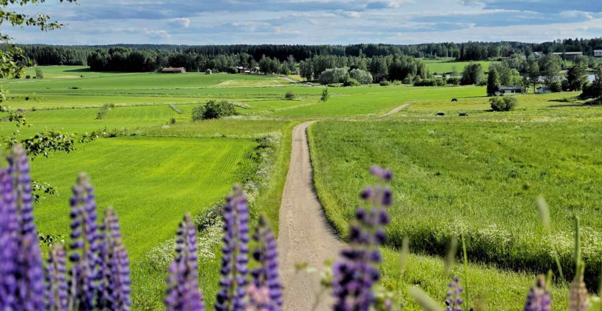 Vuosi 2025 oli Suomessa mittaushistorian toiseksi lämpimin