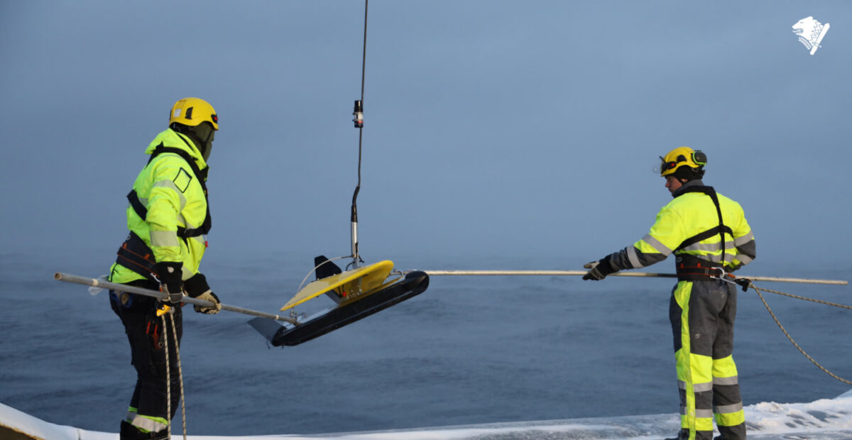 Uusi tieto Elisan kaapelirikosta