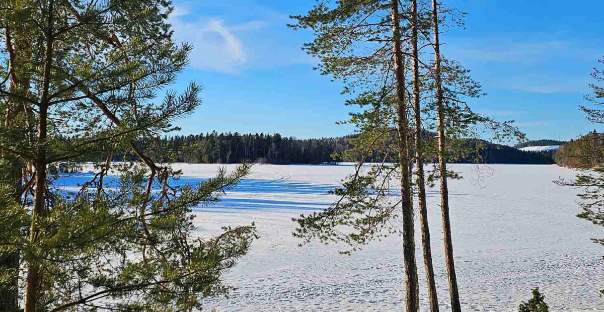 Coca-Colan mainos levittää Suomi-kuvaa maailmalle