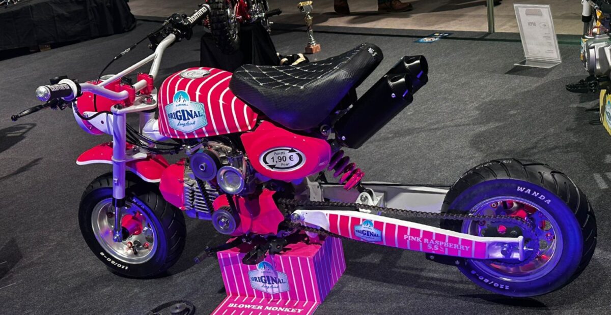 Viihdelehti Stara, 2026