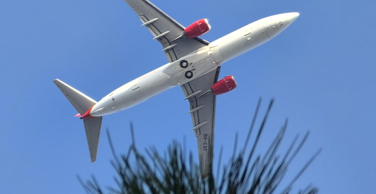Corendon Airlines, Boeing 737