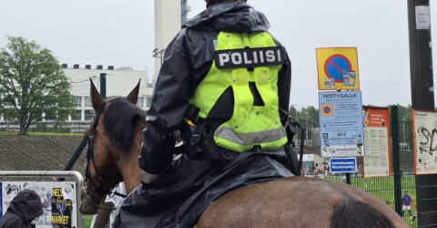 Poliisihevonen