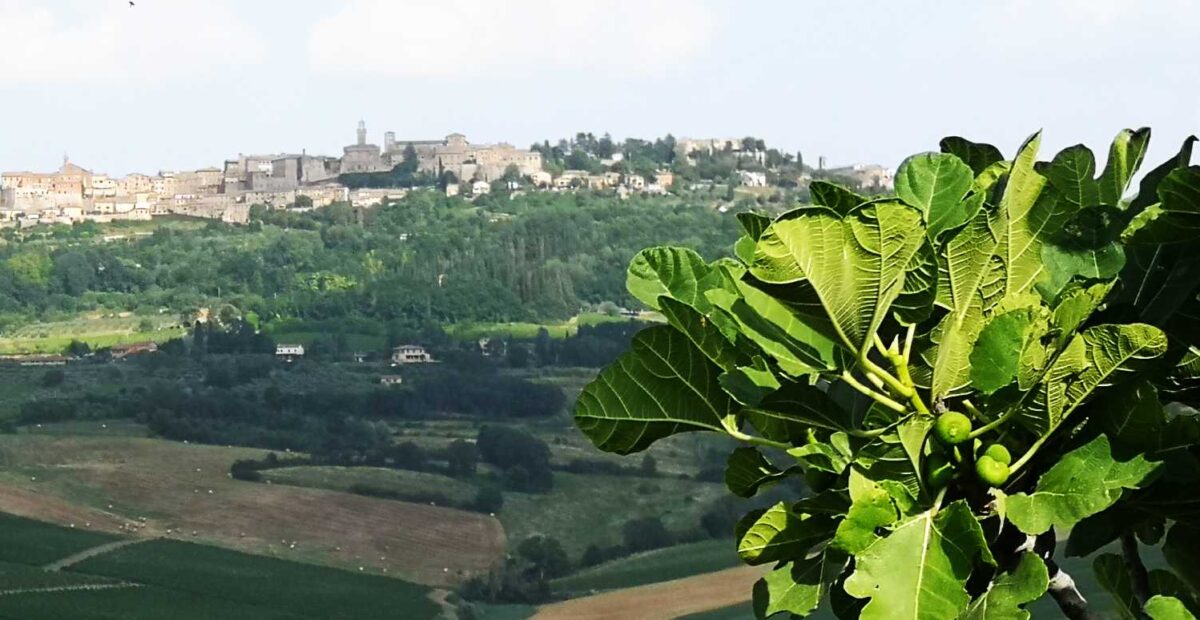 Montepulciano, Toscana, Italia