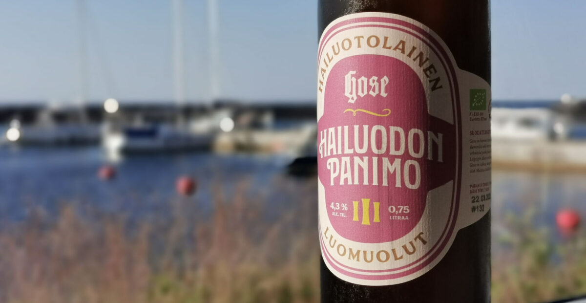 Hailuodon Panimo