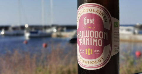 Hailuodon Panimo