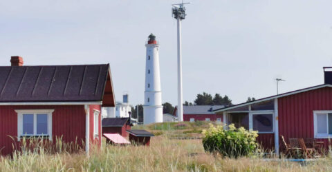 Hailuoto
