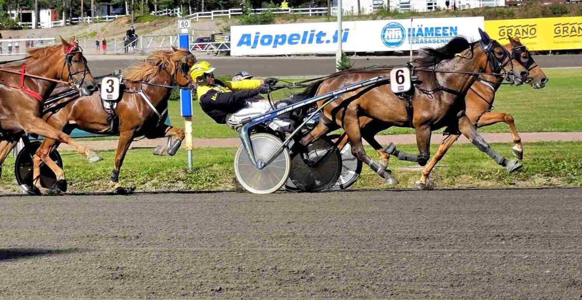 Ravit, Kuninkuusravit