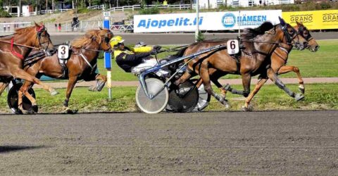 Ravit, Kuninkuusravit