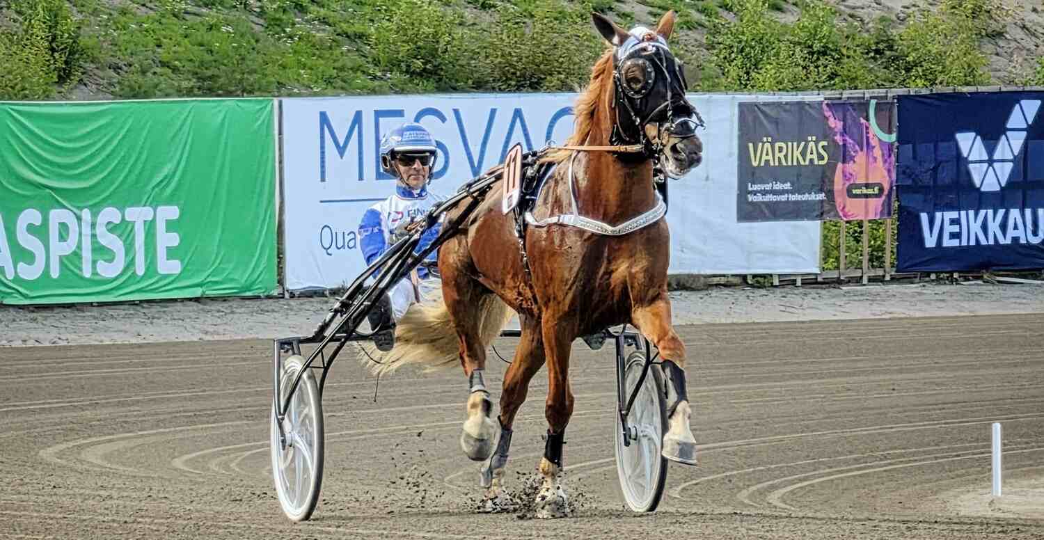 Kuninkuusravit Teivossa