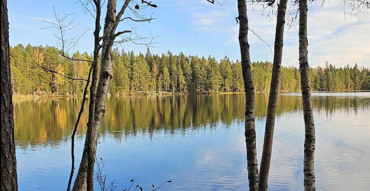 Kesäinen järvi