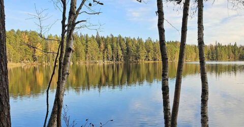 Kesäinen järvi