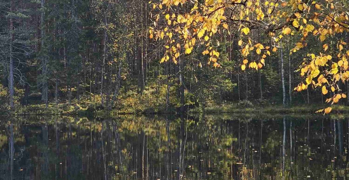 Järvi ja ruska 