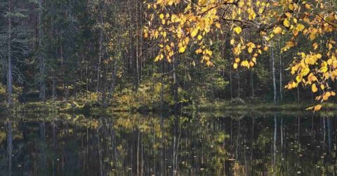 Järvi ja ruska 